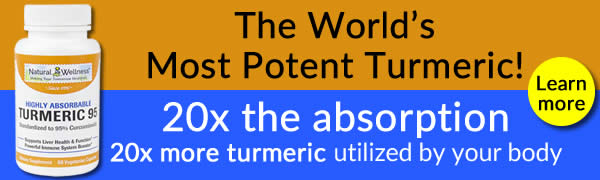 Turmeric 95 - World's Most Potent Turmeric