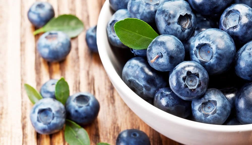 Did You Know? Blueberries and Antioxidants