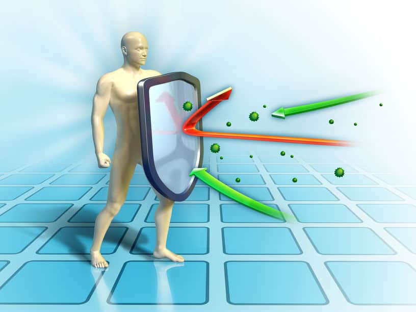 Did You Know? Immune Health and Your Liver