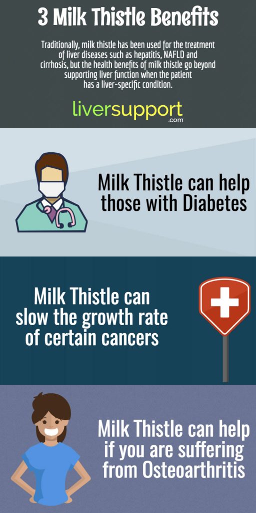 3MilkThistleBenefits