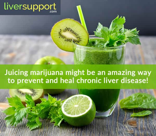 Did You Know? Juicing Marijuana Could Be a Miracle for Liver Health