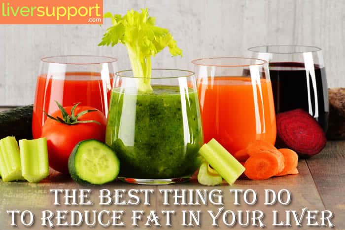 The Best Thing To Do To Reduce Fat In Your Liver - Liversupport.com
