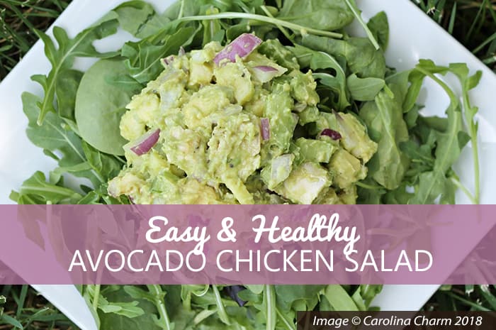 Carolina Charm - Easy and Healthy Avocado Chicken Salad