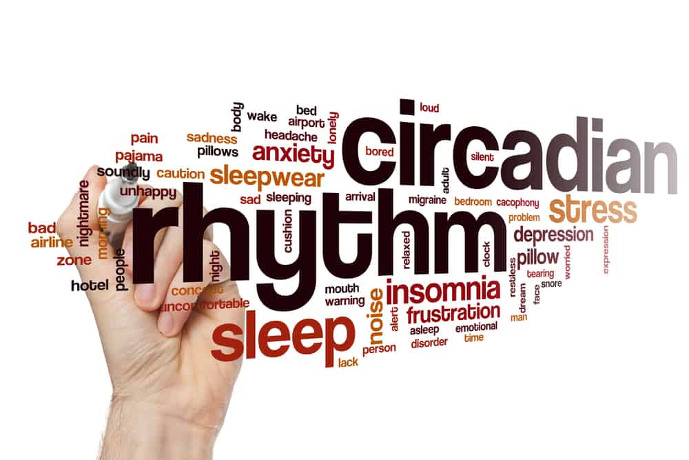 Fat creation and burning are influenced by your circadian rhythms.