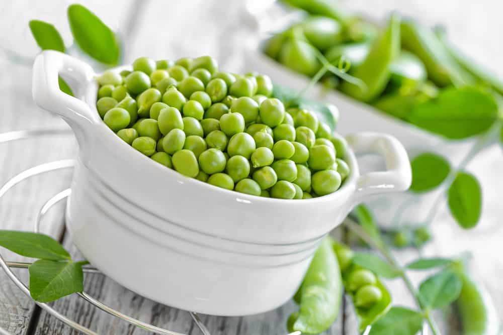 Green peas are an excellent source of non animal proteins. Green peas make up the protein in UltraNourish, a superfood protein shake.