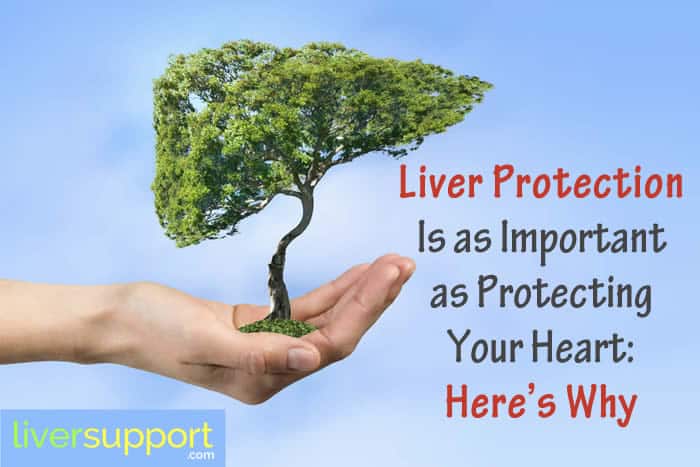 Liver Protection Is as Important as Protecting Your Heart_Heres Why