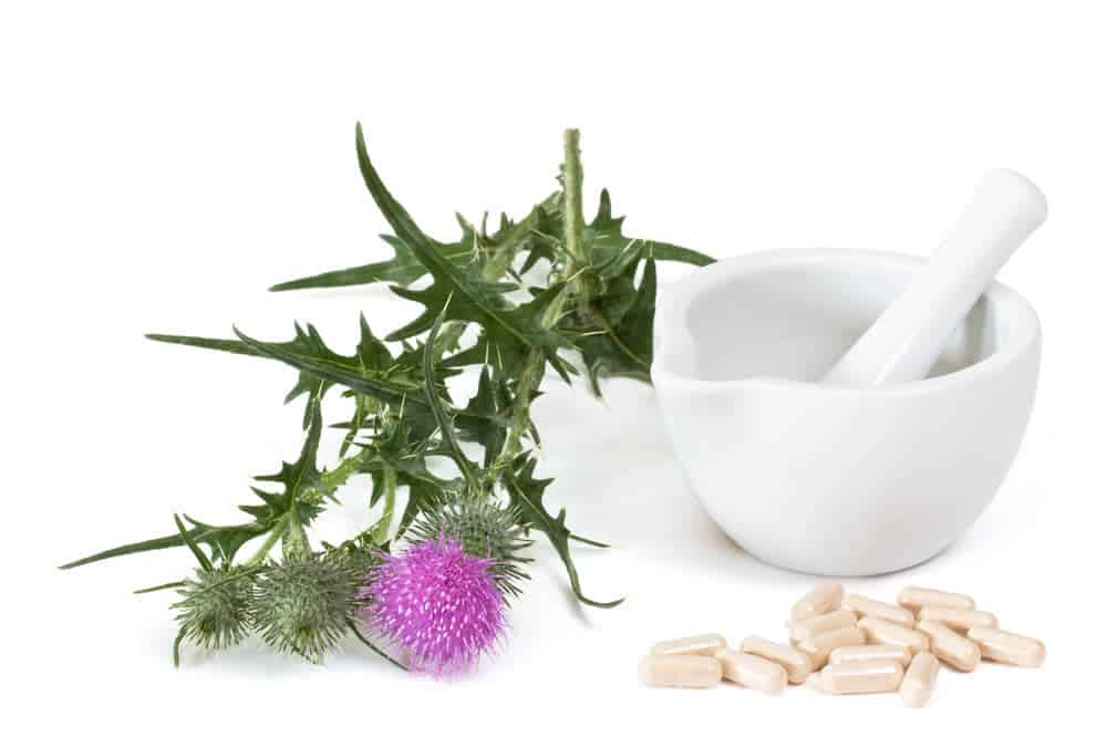 Milk thistle can help lower high liver enzymes.