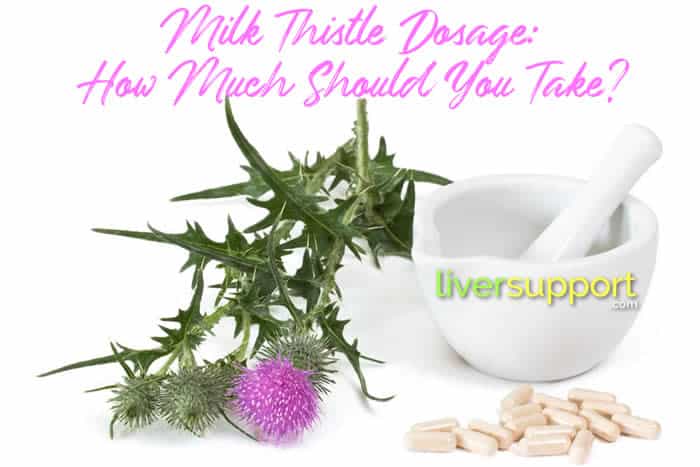 Milk Thistle Dosage: How Much Should You Take?