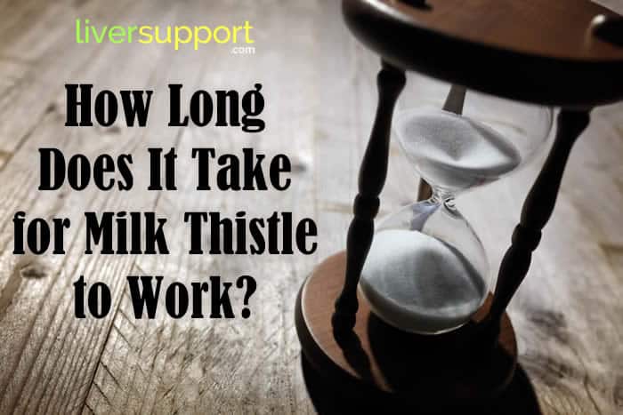 How Long Does It Take for Milk Thistle to Work?