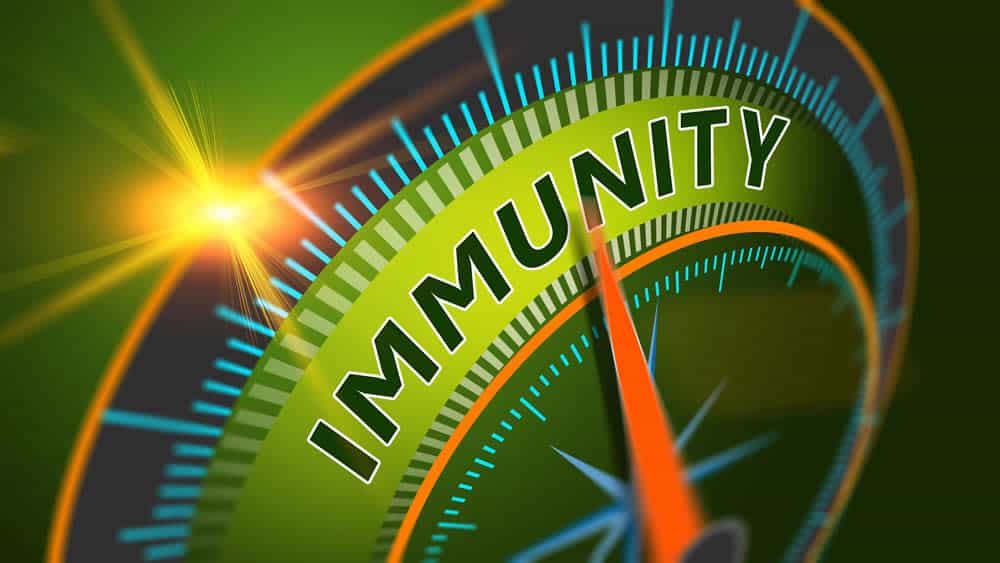 Having a Healthy Liver Boosts Immune Health