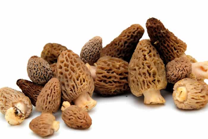 Morel mushrooms are another springtime vegetable that have liver health benefits.