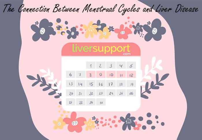 The Connection Between Menstrual Cycles and Liver Disease