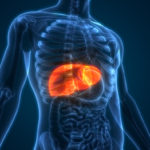 Can Kisspeptin Help Treat NAFLD?