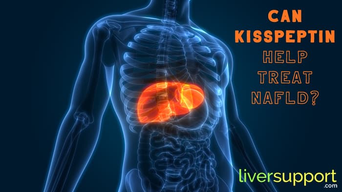 Can Kisspeptin Help Treat NAFLD?