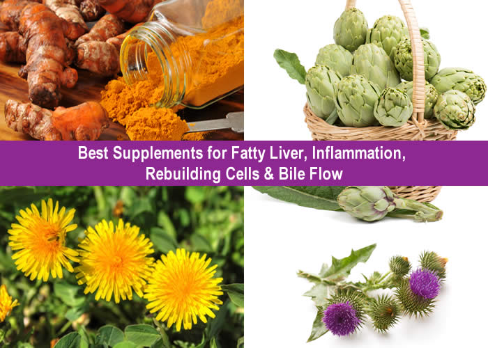 Best Supplements for Fatty Liver, Inflammation, Rebuilding Cells & Bile Flow