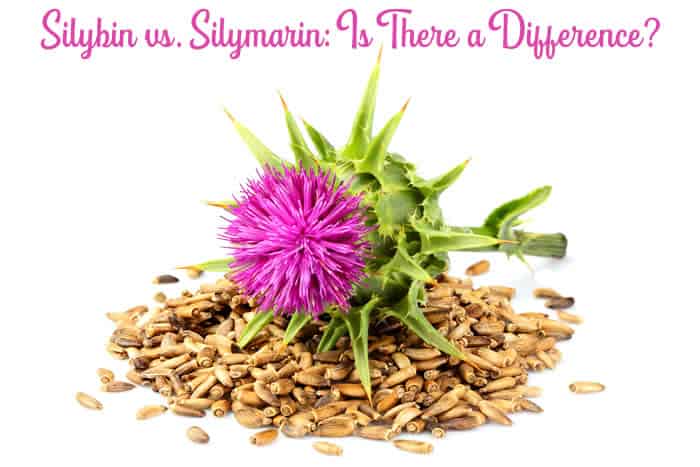 Silybin vs. Silymarin: Is There a Difference?