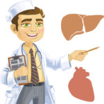 The 3-Way Connection Between Liver and Heart Health
