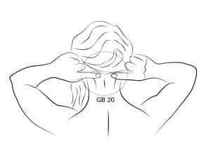 The Gallbladder 20 (GB 20) acupressure points