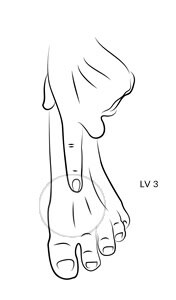 LV 3 acupressure point for liver health
